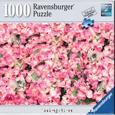 Ravensburger Kitten Challenge 1000 Piece Puzzle B01N7KMU9C